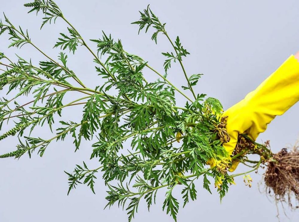 ��� ��������� ������ ������������� �������� �������������� �� ����������� ���������� ������� ����� ���������� � ������ ���������������� ������� ������������ ������� �� ���������: