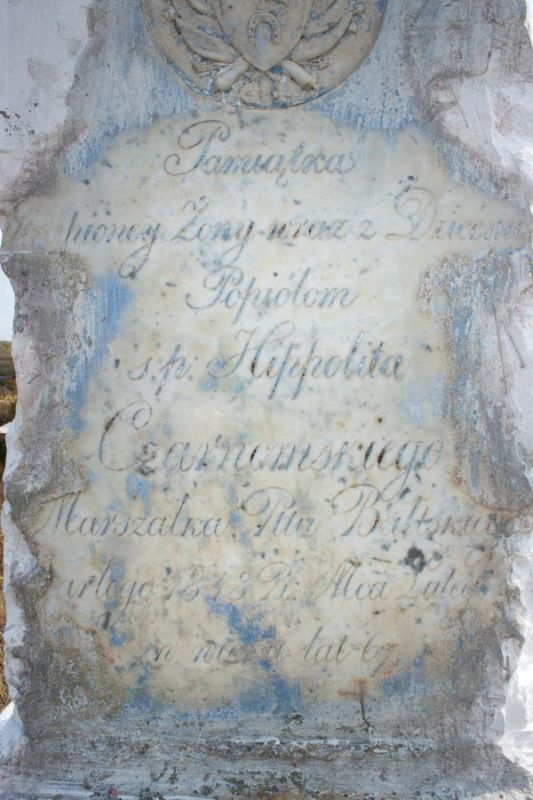 � ���� �������� ���������� ������ ������� ��������� ������� �����������, �������� �������� ��������������