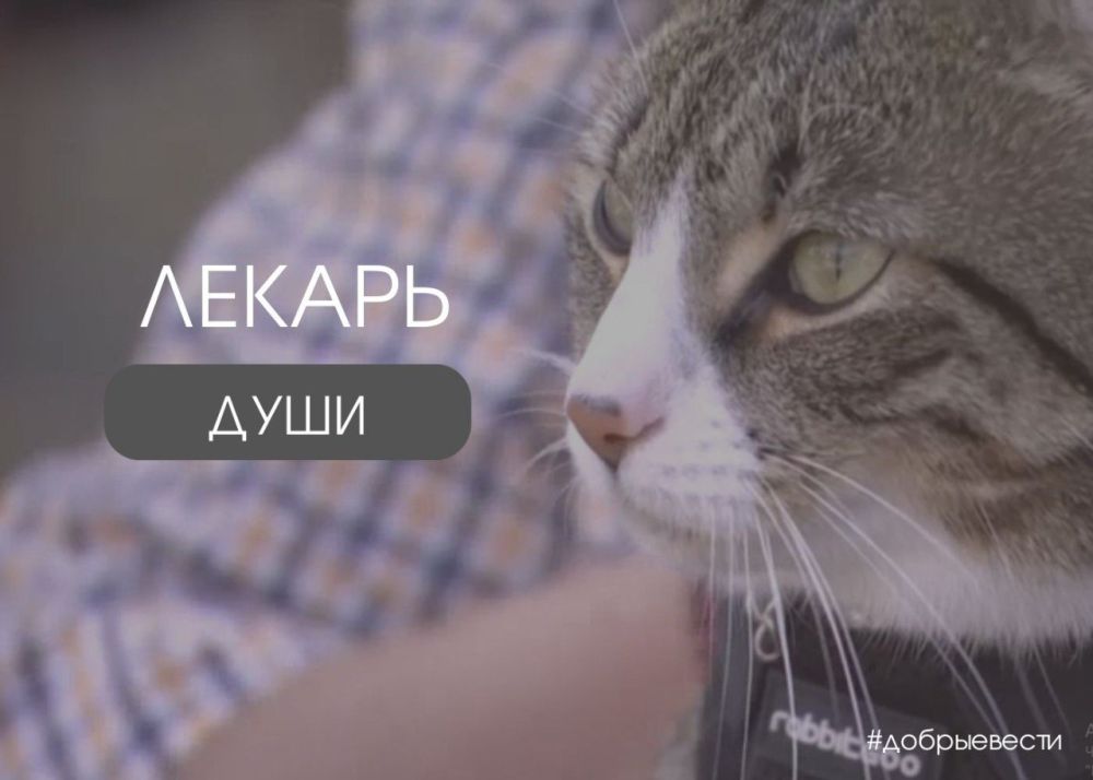 �����-�������� ���������� �������� ������