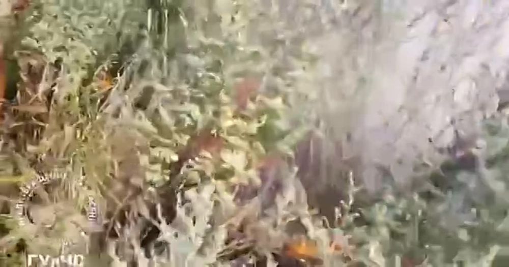 ������� � ������ ���������� ����� �� ������ �� ��������� ������ ����� �����