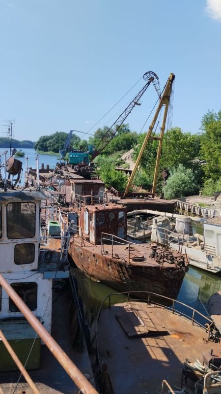 20 ��� � ��� �����, ����� ��� ����� �� �����