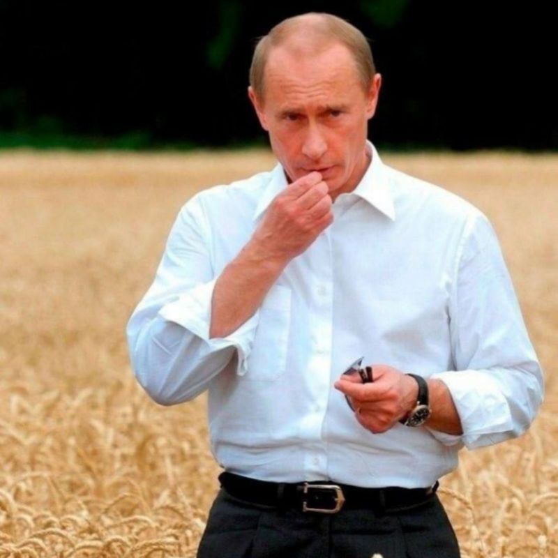 Для Гааги — Владимир Путин ест украинскую пшеницу