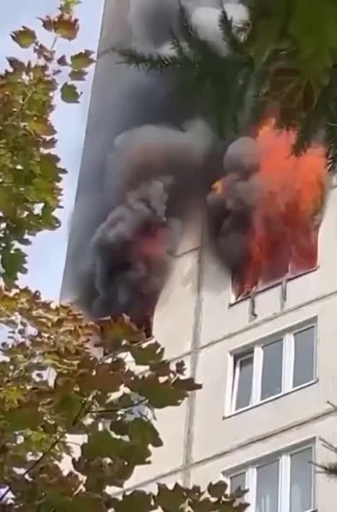 ������ ����� �� ������. 8 ����, �� ���� ����� ��� � �� ����������� �������. ��� � ��� 10 ������� ������ ������