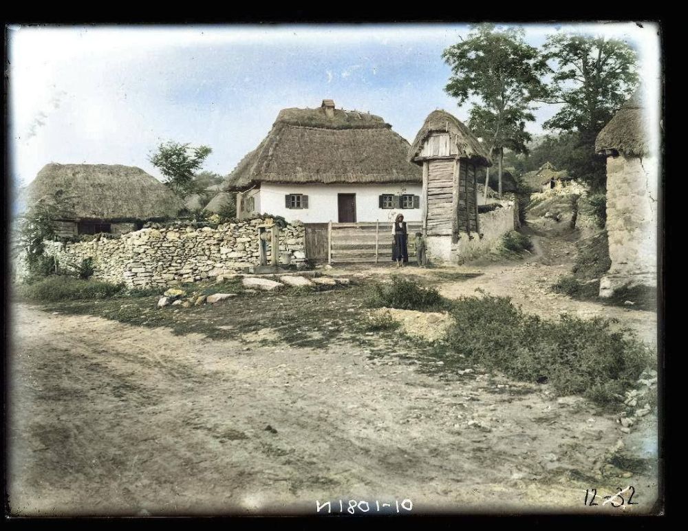 ���������� ���� ���� ���������