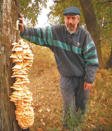 ������ �����, ��� ��� � ��� ������������ ������������� �����