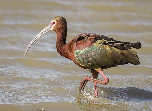 �� ���������� ������������ � ������������� �������������� ������������� ����� � �����