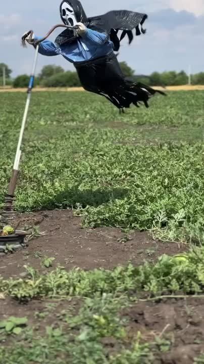 � ������������� ���� � �������� �������� ���������� ������ ����������