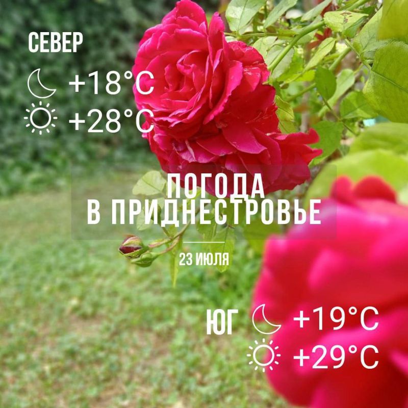 ������� ������������. �������� � 29 ��������.