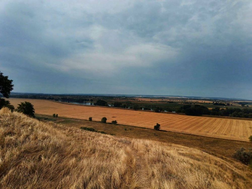 ����� ������?