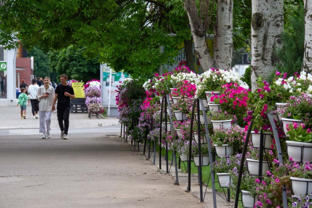 ������ � ����� ������� �� ���� ��������, ������ ��� ��� ������������ ����������� �������, ������� � �����