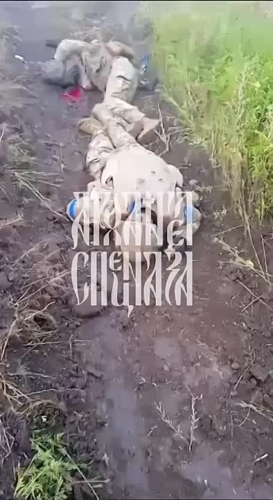 �� ����������� ����������� ������ ��� ����������� �� ������� ���������� �����