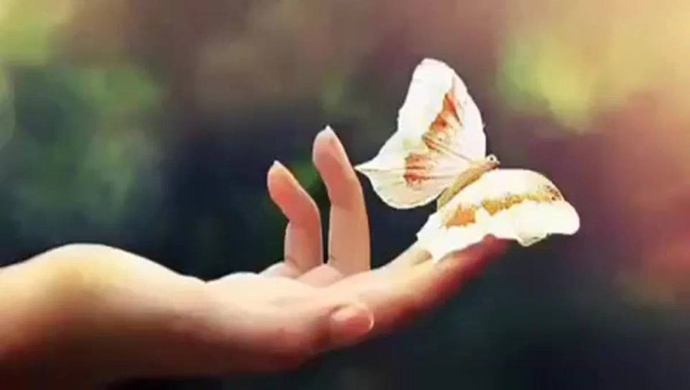 ������ ��� 24 ���� ������� ���������� ��������� ���� � ������ � ���� ��������