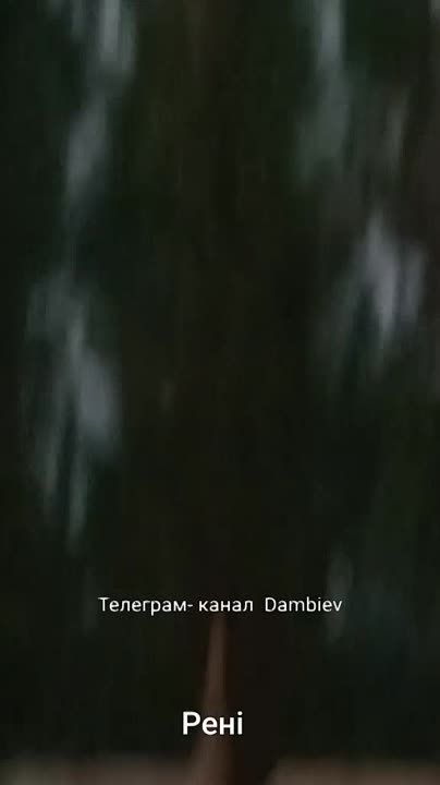 ����� ����������� ����� ������-��������� ��������� "������" �� ������ ���� ���� �� ���� ����� � �������� �������