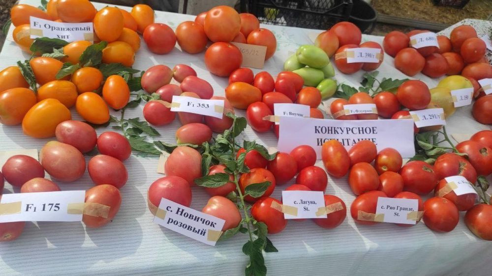 �������, �������� � ���� ������