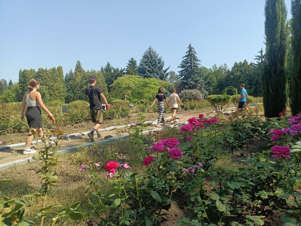 ������� � ��������� ��������� ����������� �������� ��� �����������