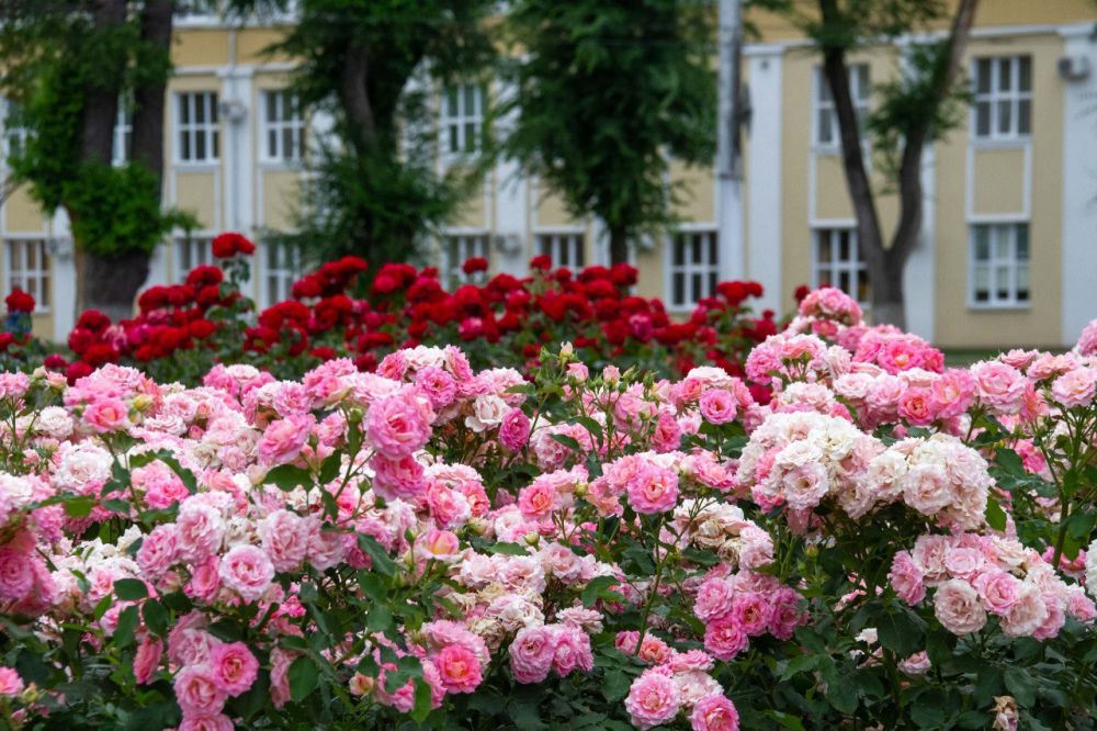 ���� ��������� ����� ����������� �������� �� �����, � ������ ������ �����