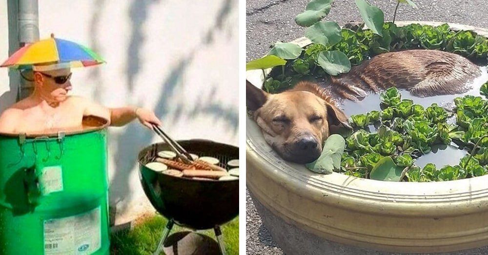 ������ �� ���� �������������