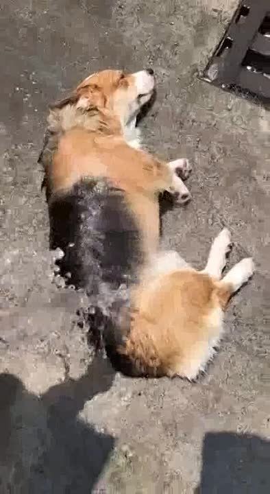 ��� ��������� �� ����