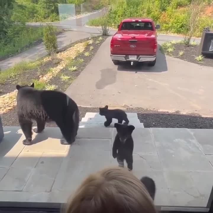 ����� �� ��� ��������� � ������ ���������� ������� ����� �������������