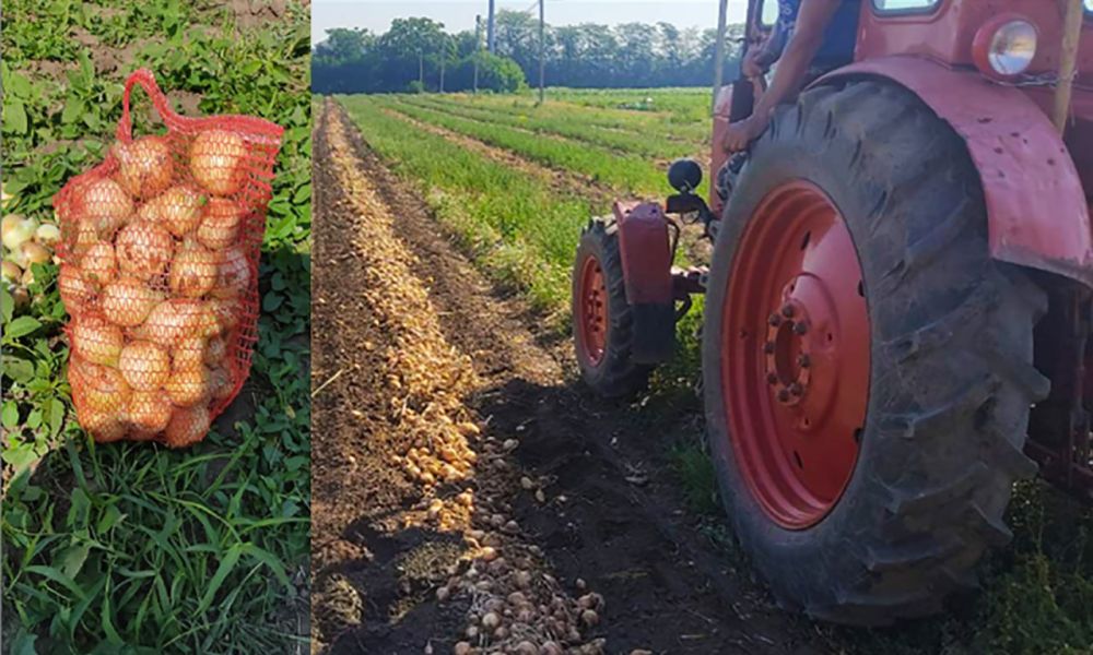 � ��������������� ������-����������������� ��������� ��������� ��������� ��������� ������� ������ ������� ����