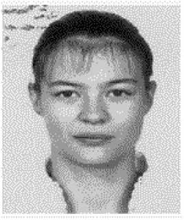 ������������� ����� �����������