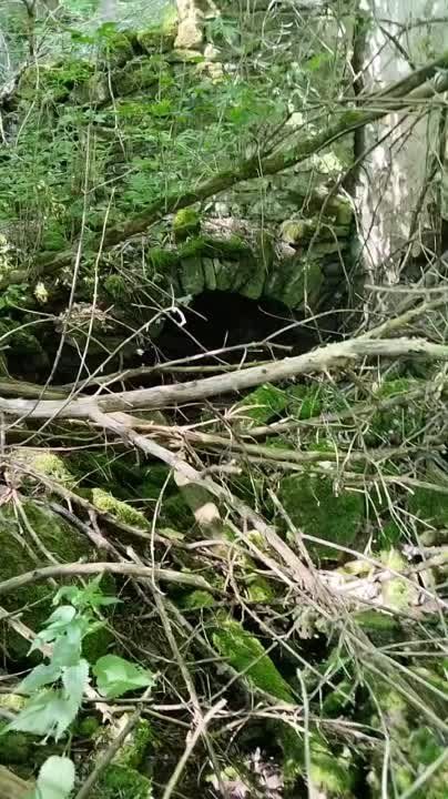 �� ���� ����� ��� ����� �� ��� �� ������, � ��������� �������� �������� � ����� ���� ���� � ����-������