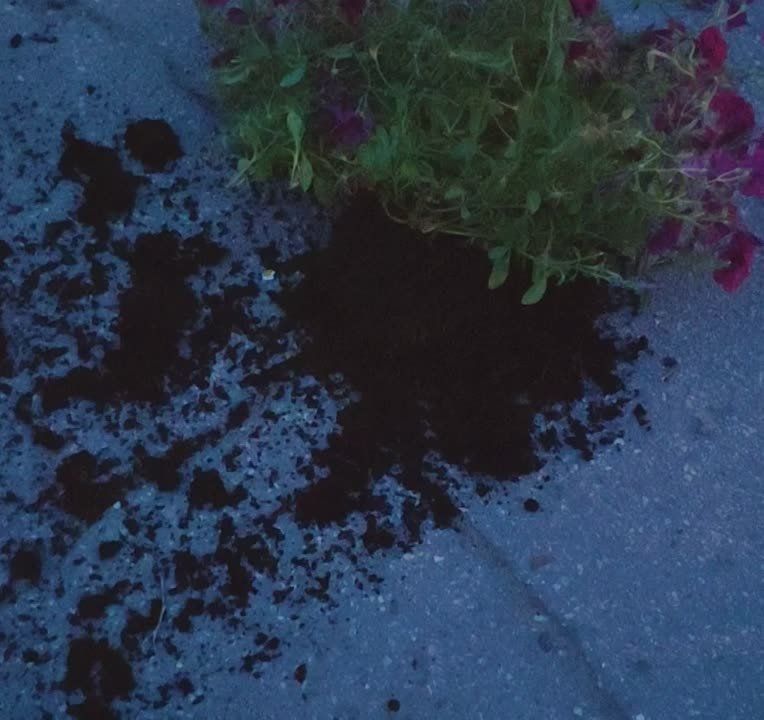 � ����������� �� ��� ������� �������� � ��������� �� ����������� �����