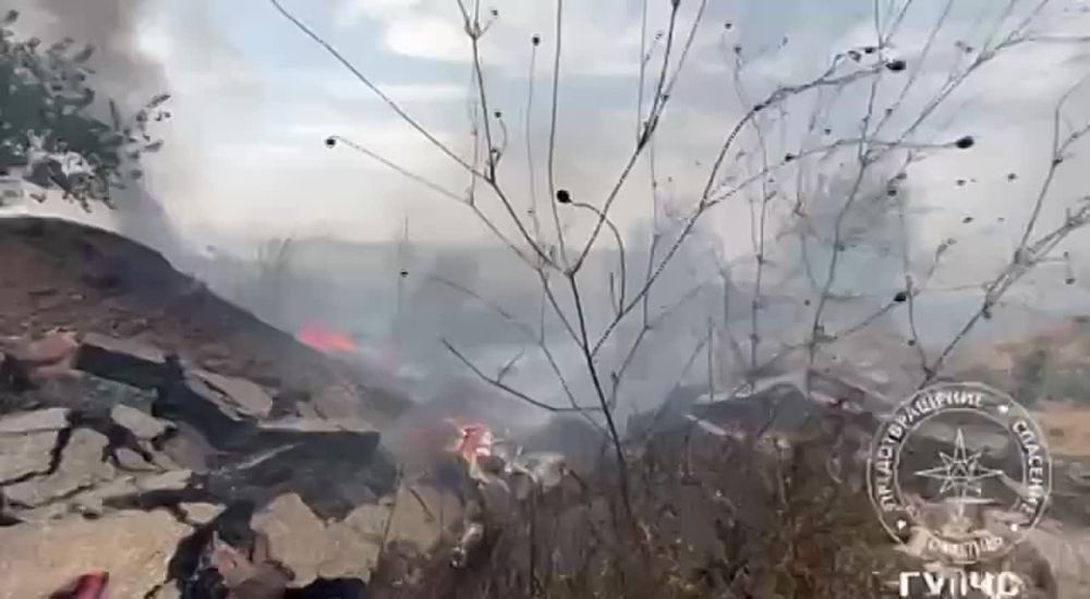 ����� ����� � ������������������� ������ � ����