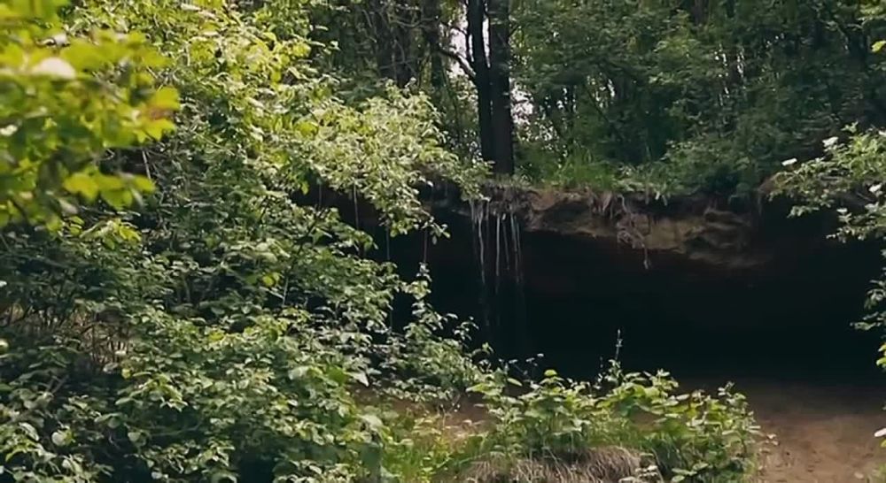 ������������ �������