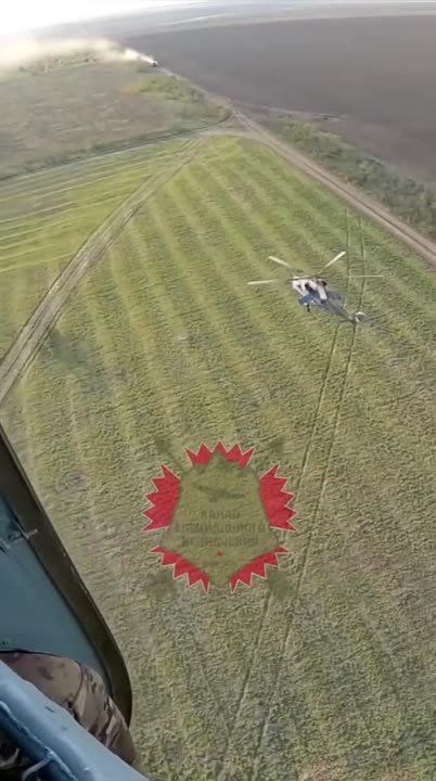 ������ ���������-������������ ������ � ���� ���.