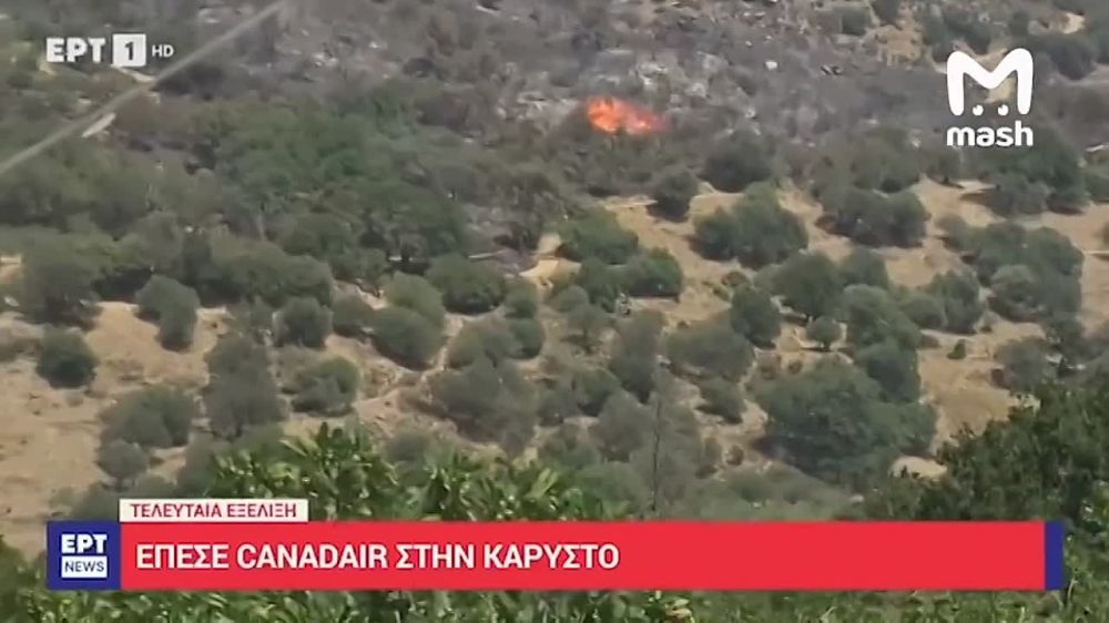 ������, �������� ������ ����� �� ��������� ������� �����, ����� �������� �������� � ������