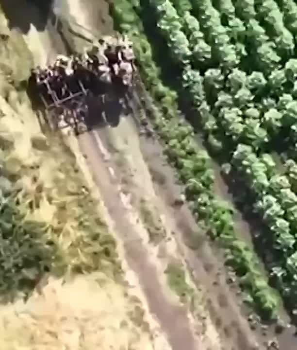 ��� ���� � ���������������� �� ��������