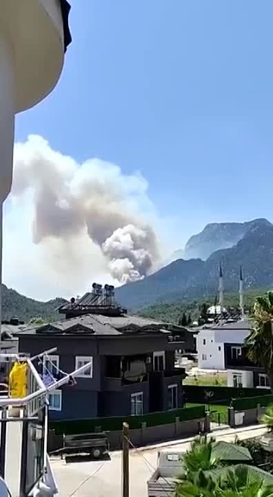 � �������� ������ ������ ������