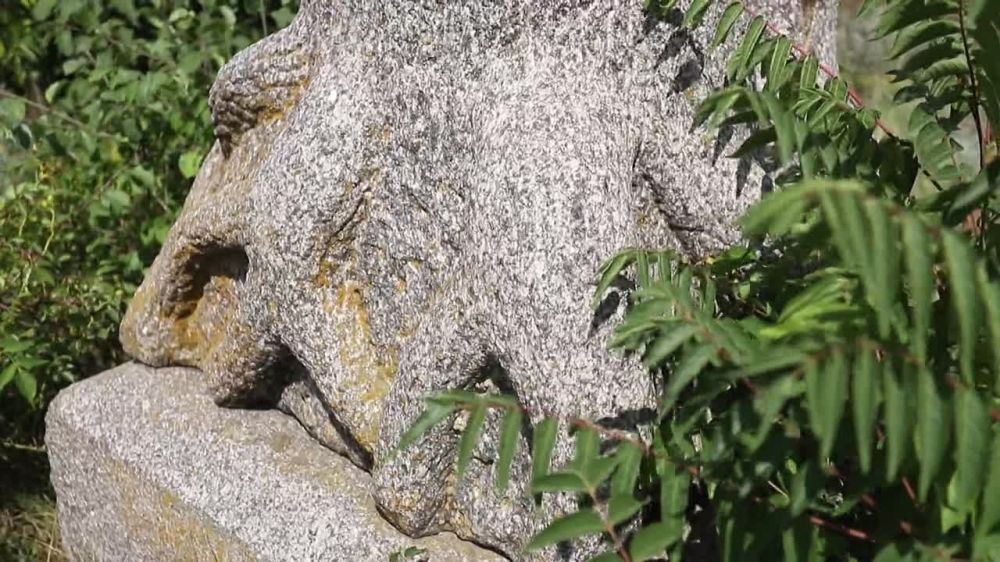 ��������� ��������� ���������� �������� � ������ ������������