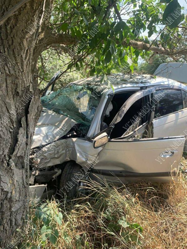 �������� �� ���������� � ����������� � �������� � ������ ���������-�������