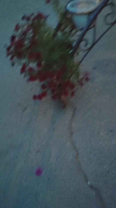 �������� ������ ��������� ������