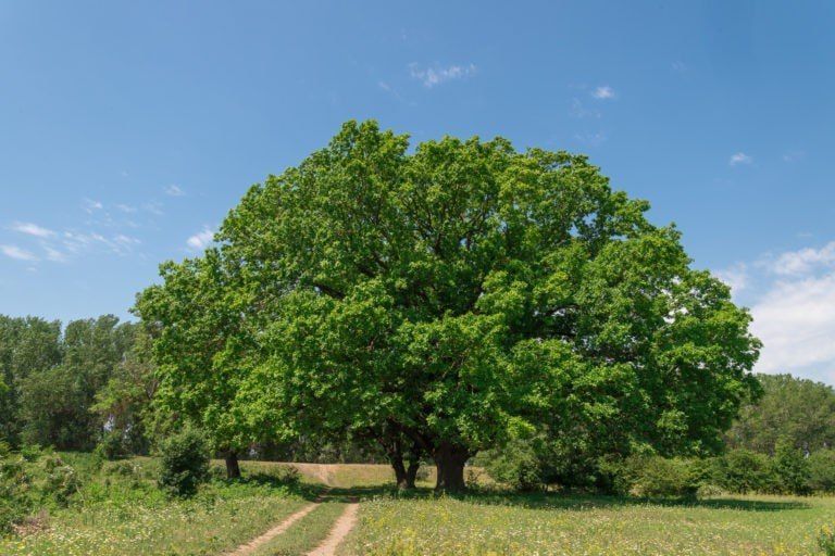 ���� ����� ����������������� ������, ������ ����, ��� �������� ������������ ���������, ��� � �������� ��� ���, ��� ��� ����� ������� �����