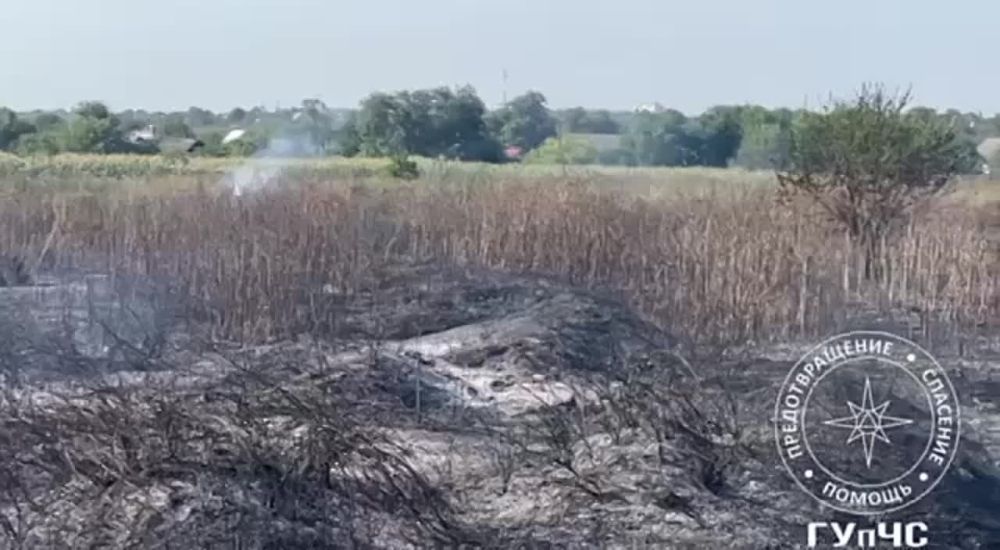 ����� ��������. � ��������� ��� �������� ������� ����-8 ������ ����� �����. ���������� ��������� 25 ���� ����� 16:00 �� ������� ����� ������� ��������� ����� � ��������