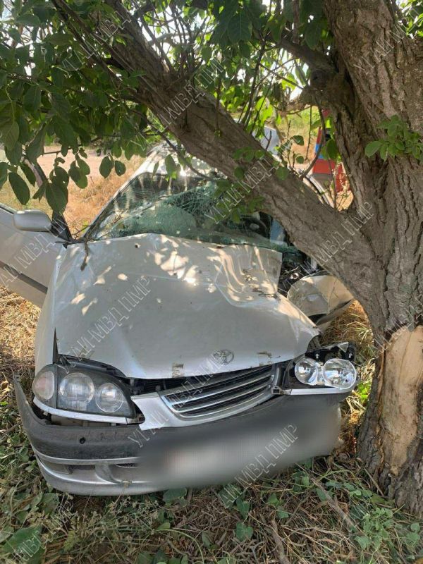 ��������� � ������, ������ ��� �� ���������� � �����������