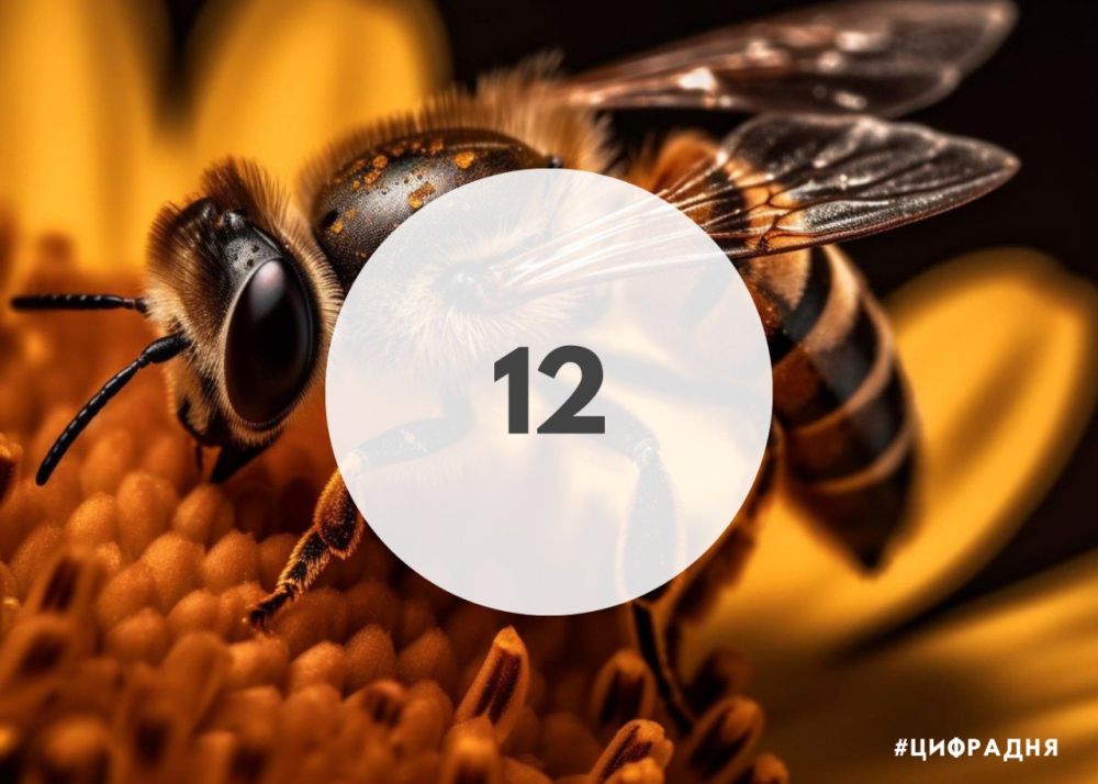 ������ ����� ��� � ��������� ������ ���� ����� 12 ����