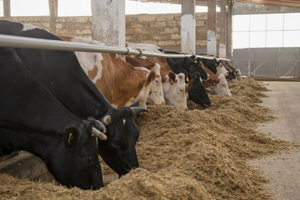 ������������ �������������� ������ � ����