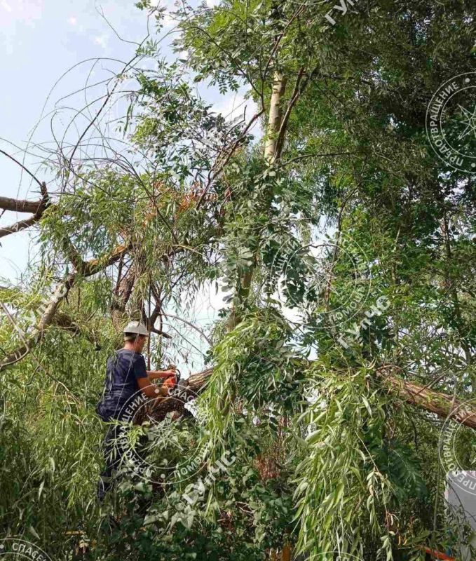 � ���� � 25 �� 26 ���� � ��������� � ��������� ������� �����, ����������� 18 ������ � �������, ����� ������� � ������ �����, �������� �����-����� ���