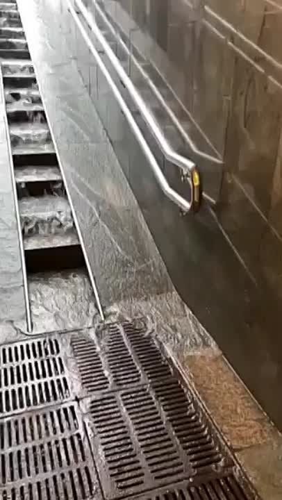 ������ ����� ������