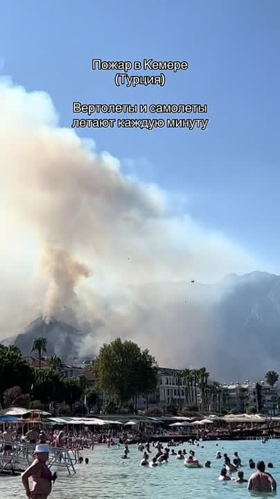 �� �������� �������� � ������ ������ ���������� ������ � ���������� ������ �������� ������� � ��������