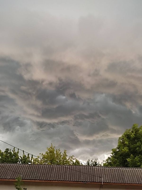 ���� � �������. ����� ���������� ������� �����, ������� ����������