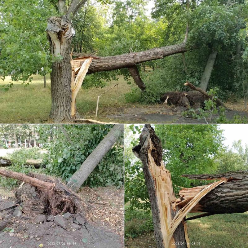 � ��� ����, ���� ������� ������ � ������� ����� �������