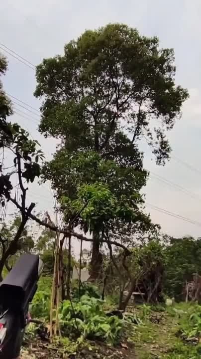 � ����� ��������� �������� �����, ������� ����� ��������� �������, �� ������� �� ������� ������