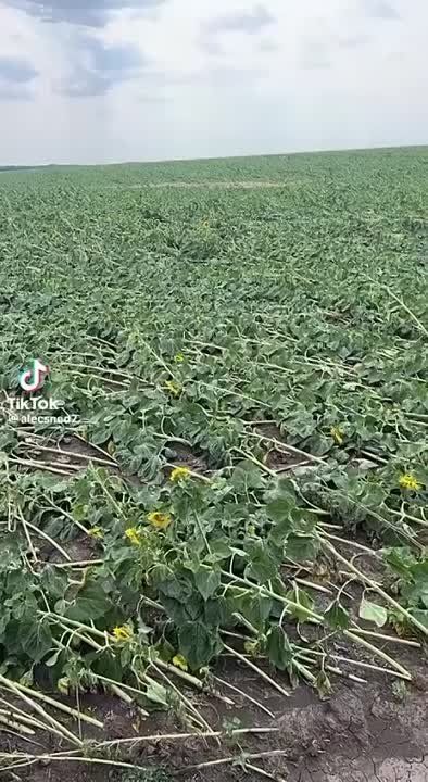 � ������� ����� ������� ����������