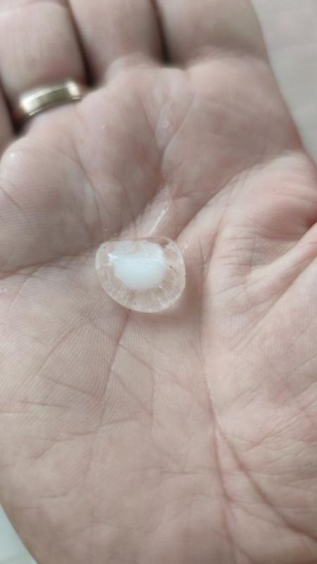 ���� � ����������