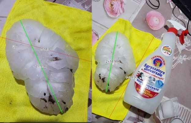 ���� ��������� 19 �� ����� � ����������� ������� ������